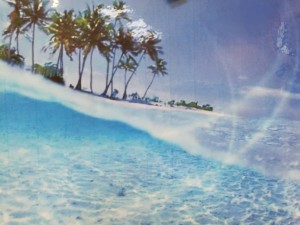 IMG_20170727_193920_20170727195544
