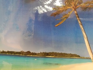 IMG_20170727_193930_20170727195535
