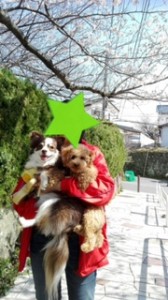 image1.jpeg3