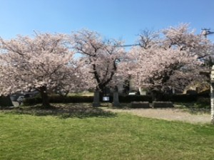image2.jpeg1