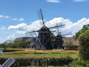 IMG_1893