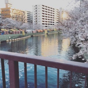 image1.jpeg67