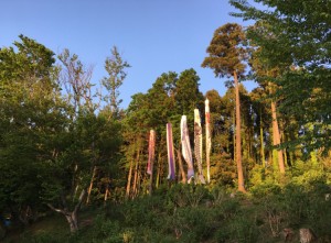 IMG_4901