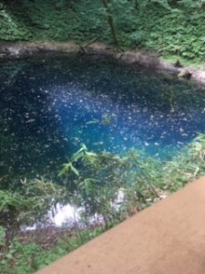 image1.jpeg89