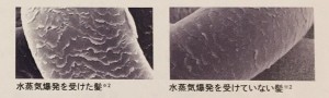 S__1187862