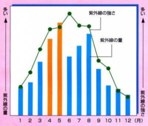 4CD65D55-C1EE-414A-BED3-7C8A525BEBD5