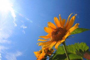 IMG_0563.JPG