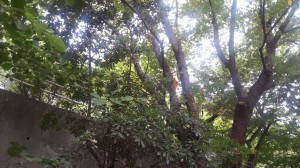 20140917_081600