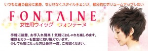 fontaine_bn
