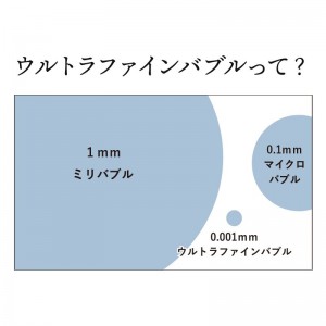 iomu_shellion_03 (1)