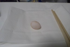 tamago