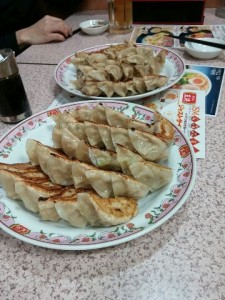 gyoza
