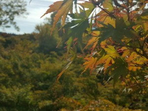 20151112_204851