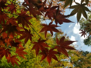20151112_204948