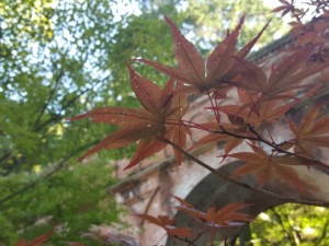 20151112_205704