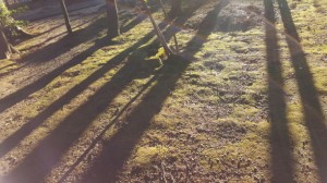 20160128_120417