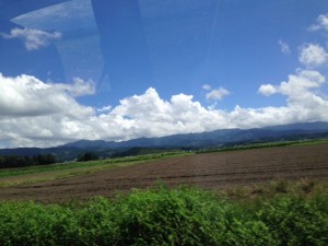 IMG_5569