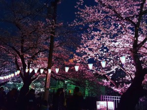 20160404_165722