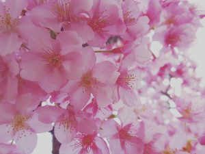 IMG_20160223_165347