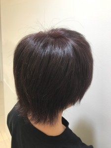 asasasasasasa