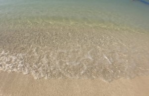 IMG_4100