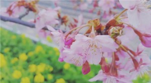 20180308_163313