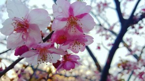 IMG_20180226_125847_892