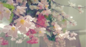 Screenshot_20180308-163047