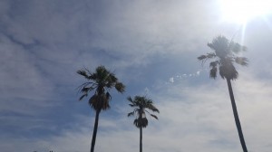 20180605_144733