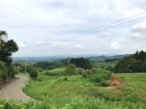 山