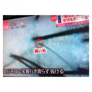 758B3AD6-58EE-41F5-8883-E921ABD70CA5