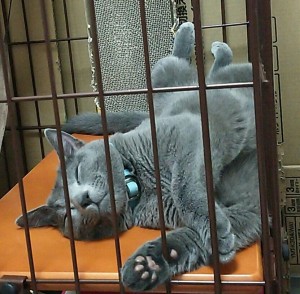 IMG_20150726_002736
