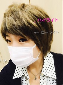 メッシュIMG_5221