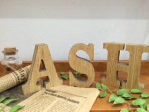 ＡＳＨIMG_8645
