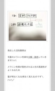 カラー2