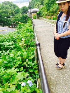 鎌倉3