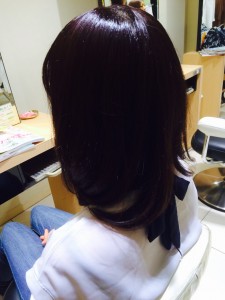 モデル1