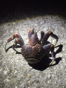 やすみ1