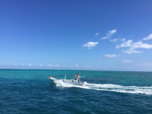 夏222