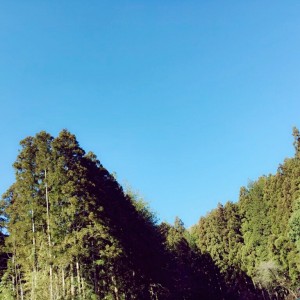 ぐん1