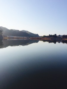 新年1