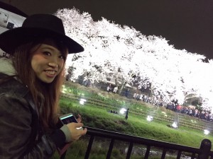 桜3