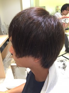 稲葉カラー2