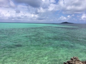 IMG_0849