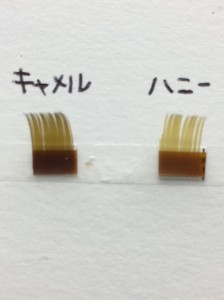 りえキャメル
