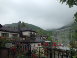 IMG_7186