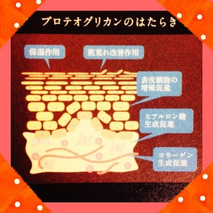 プロ