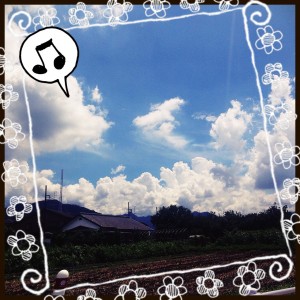 夏の空