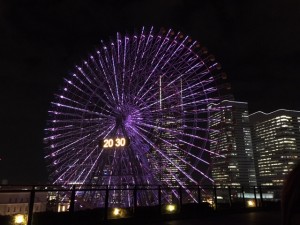 IMG_9230