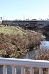 IMG_9415